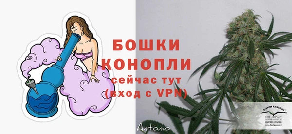 тгк Мегион