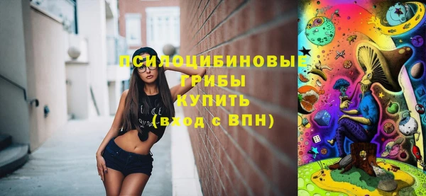 спайс Медвежьегорск