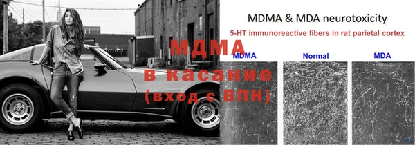 ПСИЛОЦИБИНОВЫЕ ГРИБЫ Медногорск