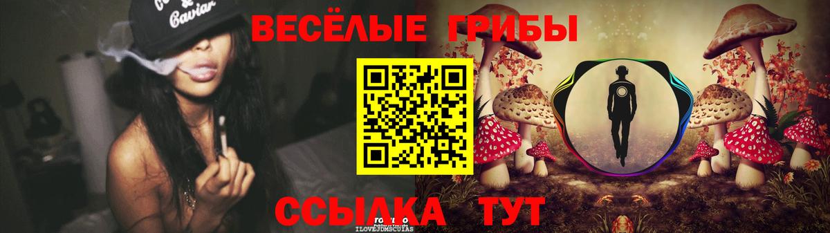Тольятти  Галлюциногенные грибы прущие грибы  Вход с VPN 